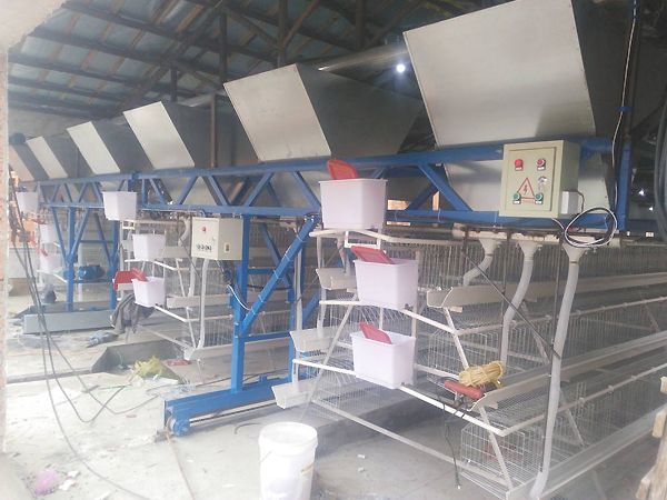 全自動(dòng)喂料機(jī)